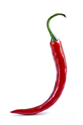 Food And Beverage Photos - Red hot chili pepper by Elena Elisseeva