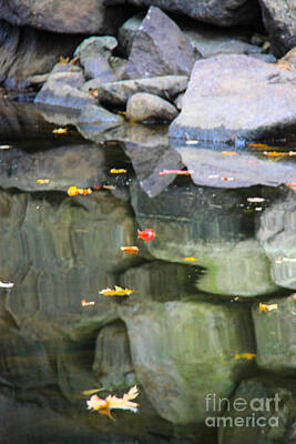 Zen Rocks - Red In The Water. by Martha J Lara