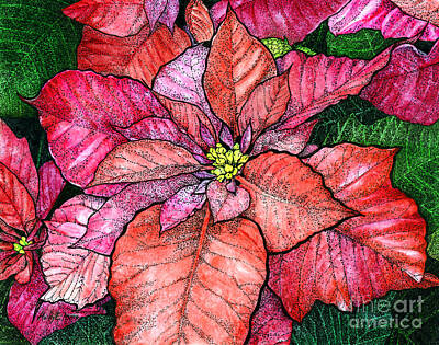 Royalty-Free and Rights-Managed Images - Red Poinsettias II by Hailey E Herrera