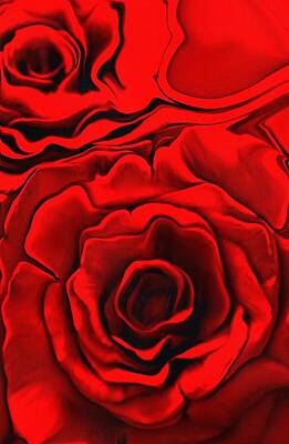 Chocolate Lover - Red Roses by Catherine Lott