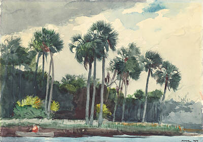 Beach Paintings - Red Shirt Homosassa Florida  by Celestial Images