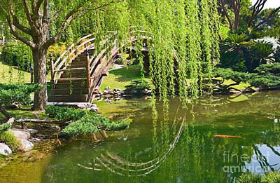 Animals Royalty-Free and Rights-Managed Images - Reflection - Japanese Garden with Moon Bridge and Lotus Pond and Koi Fish. by Jamie Pham