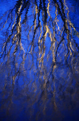 Randall Nyhof Royalty Free Images - Reflection on the Water of Tree Branches along the Riverwalk in San Antonio Royalty-Free Image by Randall Nyhof