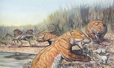 Reptiles Digital Art - Repenomamus Mammals Hunting For Prey by Mark Hallett