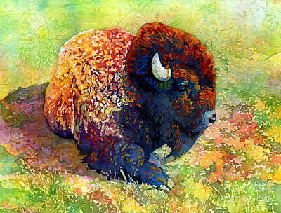 Royalty-Free and Rights-Managed Images - Resting Bison by Hailey E Herrera