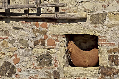 Airport Maps - Resting Rooster on a Farm Wall by David Letts