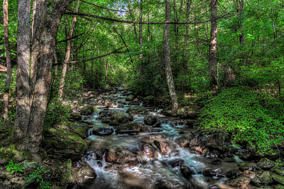 Royalty-Free and Rights-Managed Images - Jones Gap State Park South Carolina by Harry B Brown