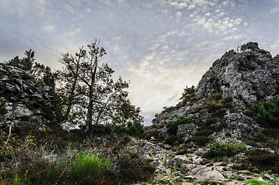 Juj Winn - Rock hill by Tilyo Rusev