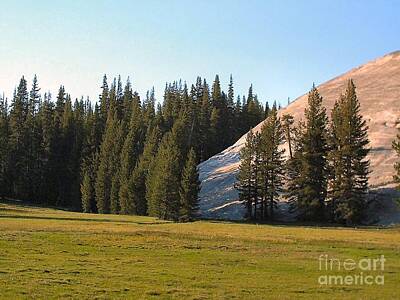 Unicorn Dust - Rock meets Yosemite meadow by Audrey Van Tassell