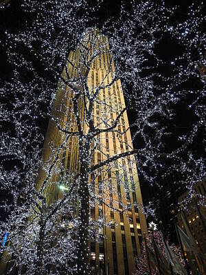 Food And Beverage Signs - Rockefeller Plaza and Holiday Lights by David Halperin