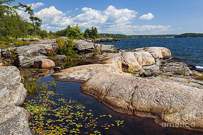 Lilies Royalty-Free and Rights-Managed Images - Rocks on Georgian Bay shore by Elena Elisseeva