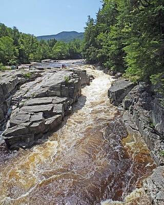 Design Pics - Rocky Gorge White Mt National Forest NH by Lizi Beard-Ward