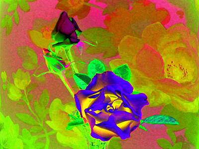 Roses Digital Art - Romancing The Rose by Will Borden