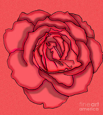 Roses Drawings - Rose Drawing by Christine Perry