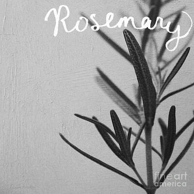 Food And Beverage Royalty-Free and Rights-Managed Images - Rosemary by Linda Woods