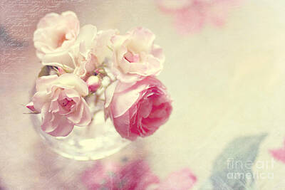 Roses Photo Royalty Free Images - Roses Royalty-Free Image by Sylvia Cook
