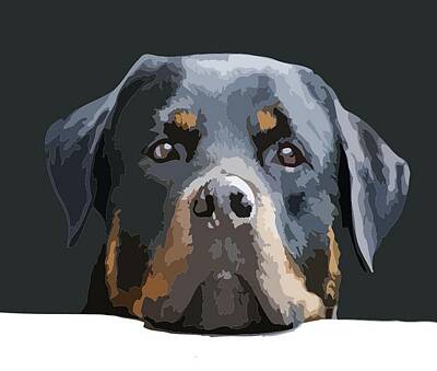 Only Orange - Rottweiler Portrait Vector by Taiche Acrylic Art