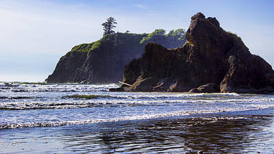 Wine Patents - Ruby Beach 2 by Cathy Anderson