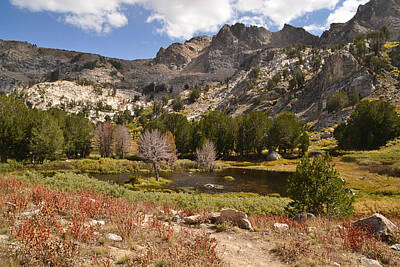 Lets Be Frank - Ruby Mountains 13 by Karen  W Meyer