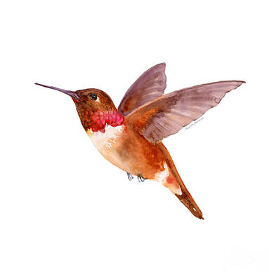 Best Sellers - Animals Paintings - Rufous Hummingbird by Amy Kirkpatrick