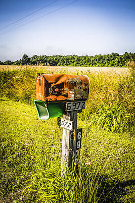 Snails And Slugs - Rural Mailbox by Chris Smith