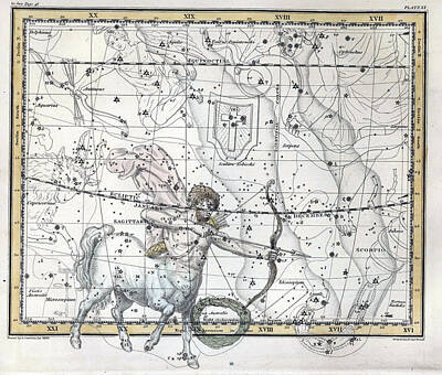 Polar Bears - Sagittarius Constellation, Zodiac, 1822 by U.S. Naval Observatory Library