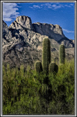 Mark Myhaver Rights Managed Images - Saguaro Mountain Blend Royalty-Free Image by Mark Myhaver