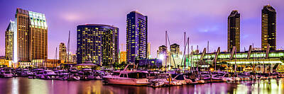Palm Trees - San Diego Panorama Photography by Paul Velgos