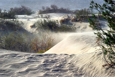 Garden Fruits - Sand Storm in the Mesquite Dunes 3 by Tomasz Dziubinski