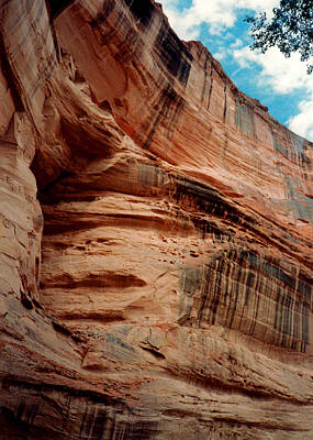 Spring Fling - Sandstone Cliff in Canyon de Chelly 1993 by Connie Fox