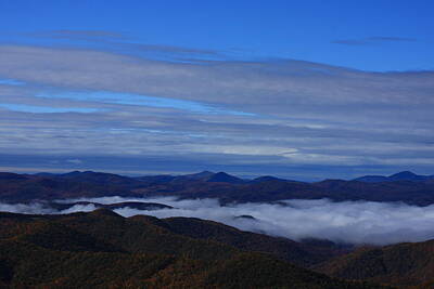 Bear Photography - Sea of Clouds Great Balsams by Michael Weeks