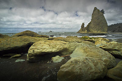 Beach Photos - Sea Stack and Rock Formations on Rialto Beach by Randall Nyhof