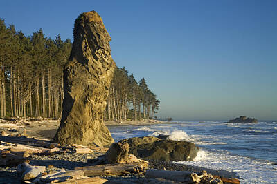Beach Photos - Sea Stack on Ruby Beach in Washington State by Randall Nyhof