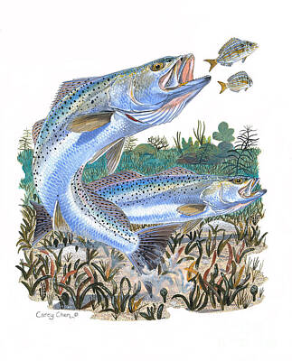 Recently Sold - Reptiles Paintings - Sea Trout by Carey Chen