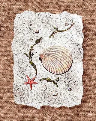 Still Life Paintings - Seashell With Pearls Sea Star And Seaweed  by Irina Sztukowski