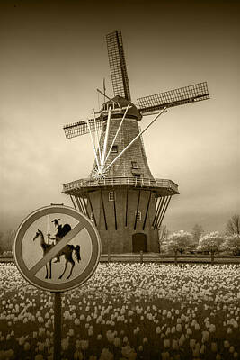 Randall Nyhof Royalty-Free and Rights-Managed Images - Sepia Colored No Tilting at Windmills by Randall Nyhof