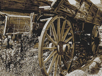 Watercolor Butterflies - Sepia Wagon by David Armstrong