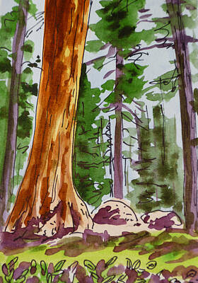 Movies Star Paintings - Sequoia Park - California Sketchbook Project  by Irina Sztukowski