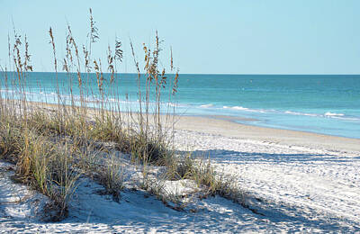 Beach Royalty Free Images - Serene Florida Beach Scene Royalty-Free Image by Rebecca Brittain