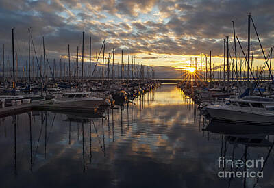 Outdoor Graphic Tees - Shilshole Marina Sunstar by Mike Reid
