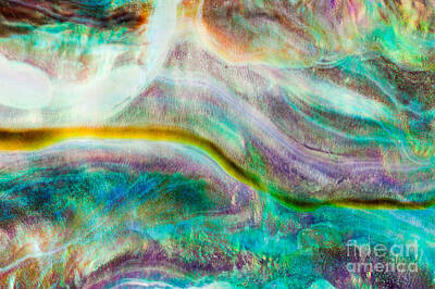 Paint Brush - Shiny nacre of Paua or Abalone shell background by Stephan Pietzko