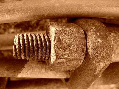 Car Design Icons - Silo Stave Nut and Bolt by Sherman Perry