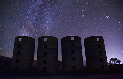 Mammals Royalty-Free and Rights-Managed Images - Silos at Night by Cat Connor