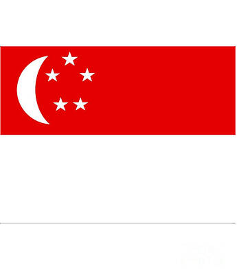 Chocolate Lover - Singapore Flag by Frederick Holiday