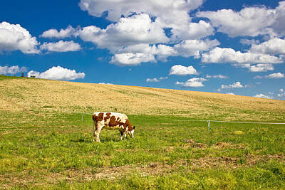 Egon Schiele - Single cow in green nature by Brch Photography
