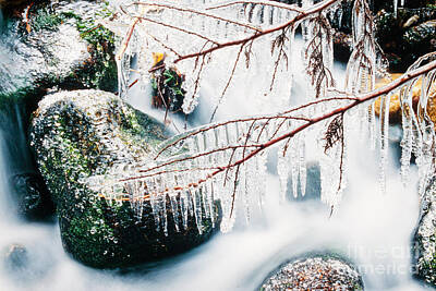 Lake Life Royalty Free Images - Small creek freezing up forming icicles Royalty-Free Image by Stephan Pietzko