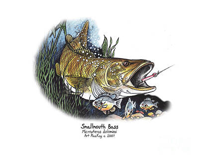 Road And Street Signs - Smallmouth Bass by Art MacKay