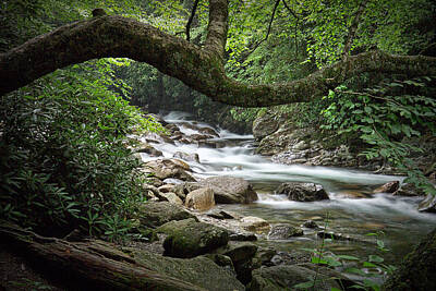 1-minimalist Childrens Stories Rights Managed Images - Smoky Mountain Stream. No 547 Royalty-Free Image by Randall Nyhof