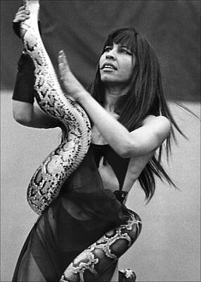 Reptiles Photos - Snake Charmer with Boa Constrictor by Robert Ullmann