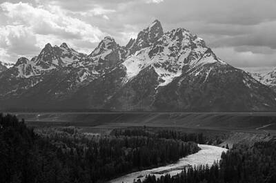 Reptiles Photos - Snake River Overlook - Black and White by Aaron Spong